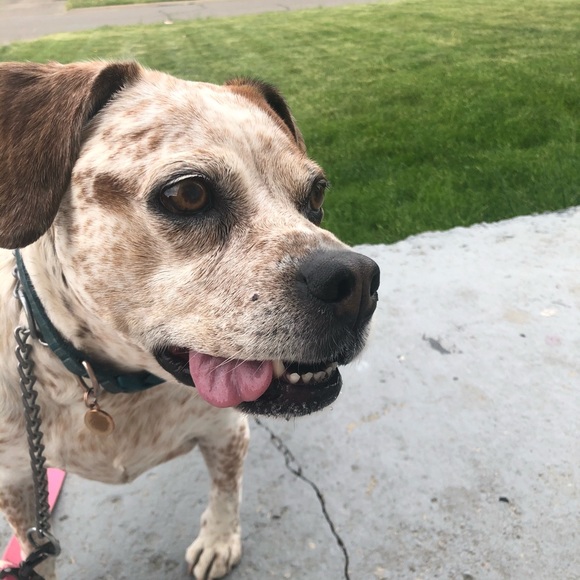 Meet your Posher, Nina - Picture 1 of 1